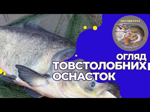 Видео: огляд товстолобних оснасток Molitrix