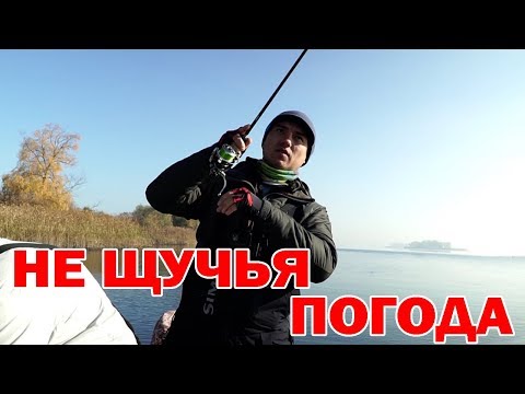 Видео: Ловля щуки в солнечную погоду  Джиг в ноябре! Часть 2