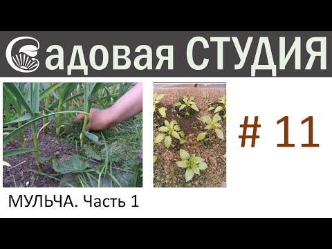 Видео: Всё о мульчировании. Часть 1