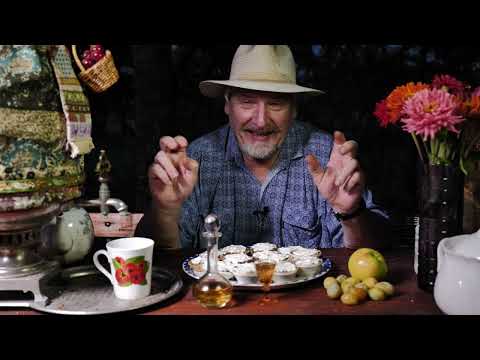 Видео: Мушиные вопросы 7 С.В.Савельев