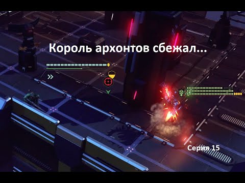 Видео: Подопытный бета - король архонтов
