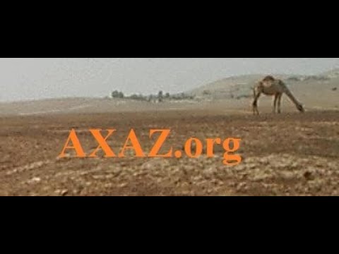 Видео: 1058. Все биньяны и основные мишкали на примере одного корня ГШР. Учим иврит с пониманием