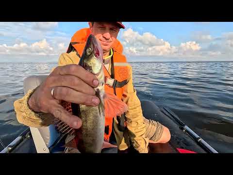 Видео: Рыбалка на Рыбинке в июле./Fishing at the Rybinsk reservoir in July