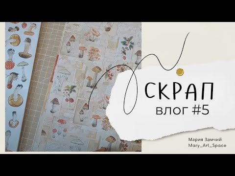 Видео: ВЛОГ #5 - Покупки, процессы, дача и котики, новая бумага Ромалетта, прогулка по городу