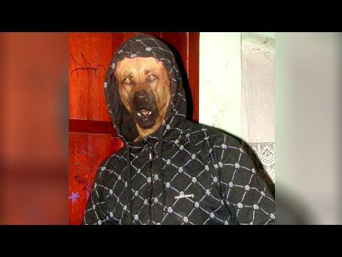 Видео: Я ржал до слез 😂 16 Минут смеха 2023 Смешные видео   Лучшие Лютые ПРИКОЛЫ Ноябрь!Подборка приколов