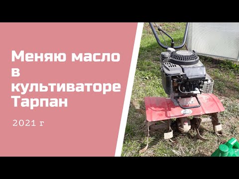 Видео: Меняю масло в культиваторе Тарпан 2021 г