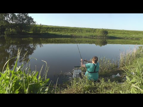 Видео: Рыбалка на фидер на реке Дон под Данковом