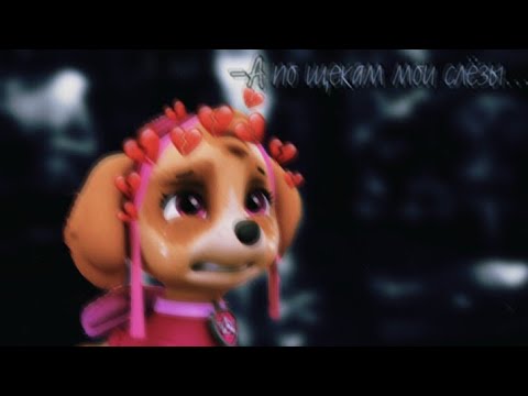 Видео: 😢Скай и Гонщик😢(По щекам слёзы)~Для канала Зухрашка Гамидова~😢Skye and Chase😢