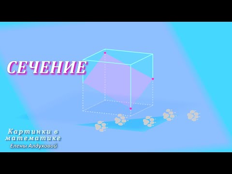 Видео: Построить сечение ✧ Мерзляк 3.21✧ Геометрия 10 класс