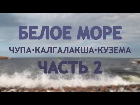 Видео: Белое море. Чупа-Калгалакша-Кузема. Часть 2