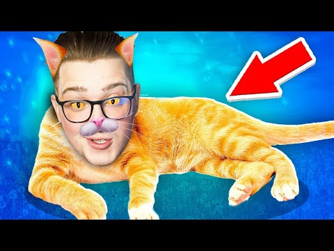 Видео: СТАЛ КОТОМ НА 24 ЧАСА! САМЫЙ РЕАЛИСТЧНЫЙ СИМУЛЯТОР КОШКИ!