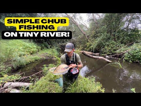 Видео: ЛОВЛЯ ГОЛАВЛЯ В ЭТОЙ МАЛЕНЬКОЙ РЕКЕ!