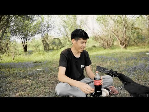 Видео: Карга Кола ичеби же жокпу