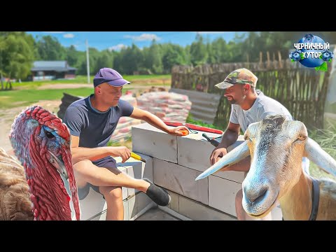 Видео: Черничный хутор- это вкусные блюда, сбор грибов, рыбалка, стройка, путешествия и счастливые животные