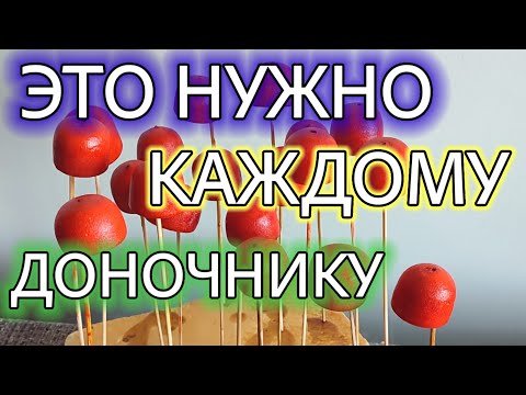 Видео: ПАРАШЮТ ДЛЯ ЗАКОРМКИ точки лова рыбы ШАРАМИ. Как сделать..