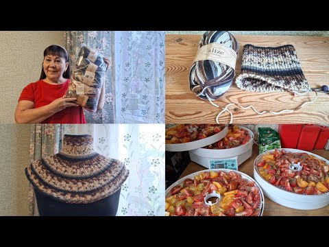 Видео: 19 августа 2025 г.Мои будни.Сушу-вялю томаты на сушилке.Связала спицами манишку из носочной пряжи.