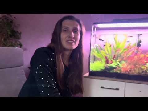 Видео: Акавариум для ребёнка на день рождение 