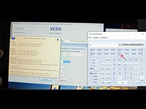 Видео: Кодирование в VAG-COM, VCDS, VAS #vcdscoding #вася