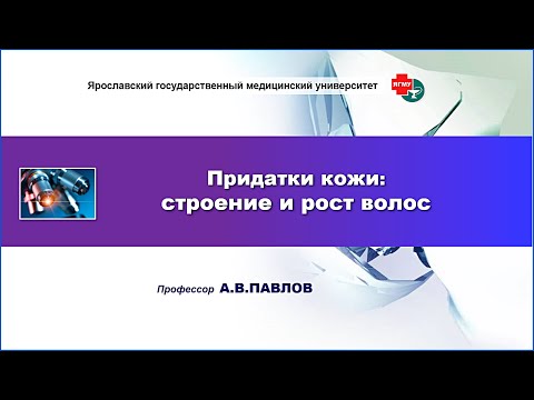 Видео: Придатки кожи: строение и рост волос