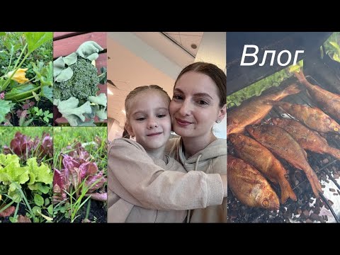 Видео: Влог/ ищу новое помещение/ дача/стрматолог/ моя тушь для ресниц❤️