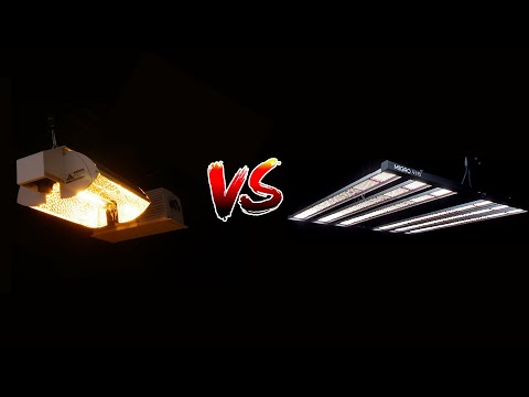 Видео: Светодиоды против HPS | 5 причин заменить