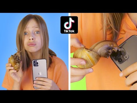 Видео: Проверила БЕЗУМНЫЕ ЛАЙФХАКИ из ТИК ТОКА / Алиса Че проверяет лайфхаки из Tik Tok