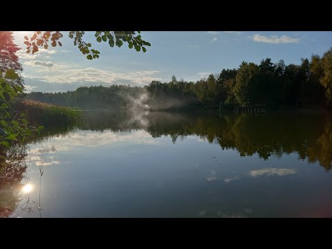 Видео: Мормышинг в компании. Разведка подмосковных водоемов.