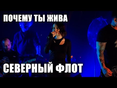 Видео: Северный флот - Почему ты жива (Ария Тодда) (TODD в ТВери, 2024.5.15)