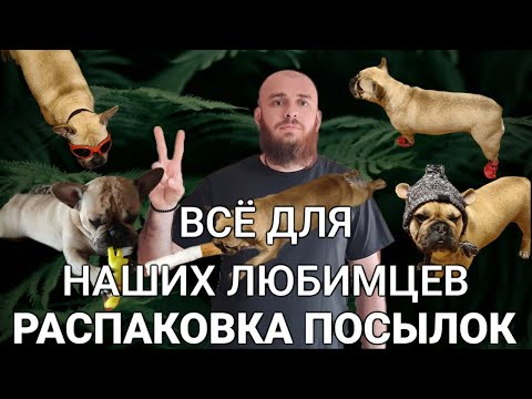 Видео: РАСПАКОВКА ПОСЫЛОК ВСЁ ДЛЯ НАШИХ ЛЮБИМЦЕВ