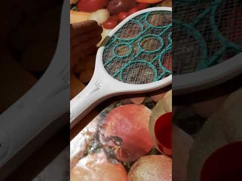 Видео: Электрошокер для тараканов и прочих насекомых.