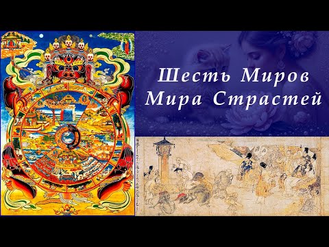 Видео: Миры Сансары