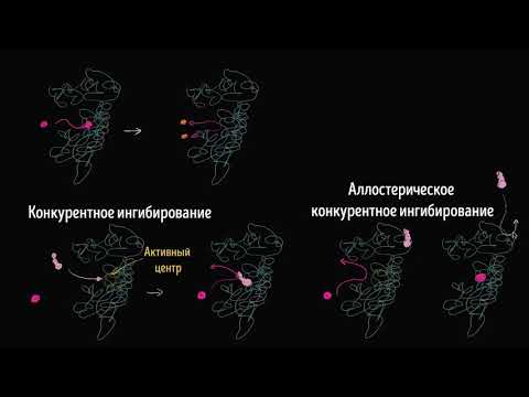 Видео: Конкурентное ингибирование ферментов (видео 16)  | Энергия | Биология