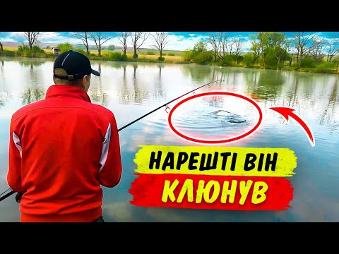 Видео: Водойма Гаї: секрети успішної риболовлі. Ловля трофейного коропа