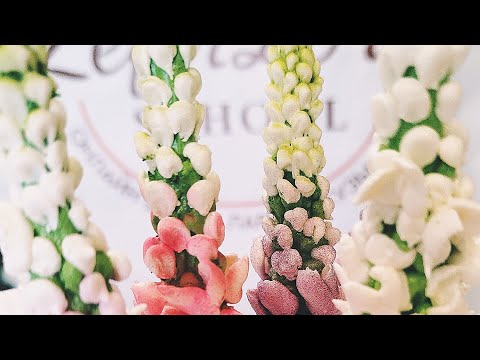 Видео: ЗЕФИРНЫЕ ЛЮПИНЫ в прямом эфире!