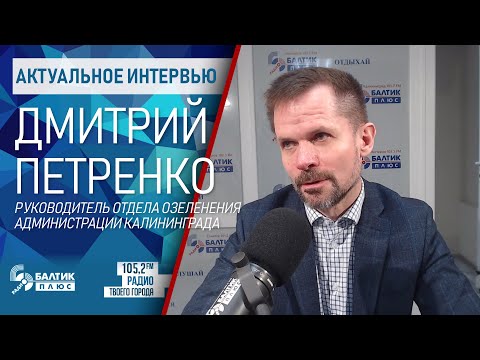 Видео: Актуальное интервью: Дмитрий Петренко, руководитель отдела озеленения администрации Калининграда