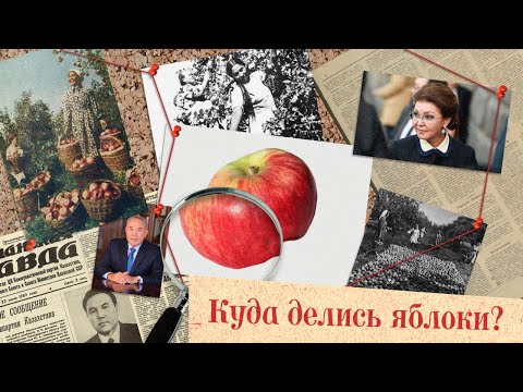 Видео: Апорт - потерянный символ Алматы