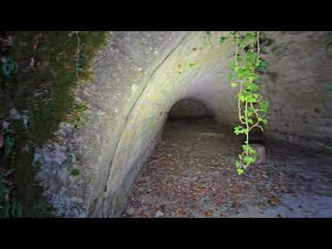 Видео: Два зала