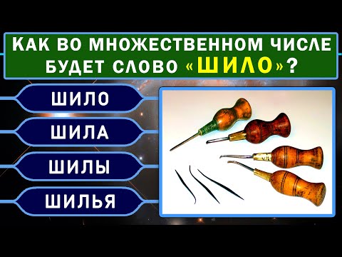 Видео: У вас ПО-НАСТОЯЩЕМУ ШИРОКИЙ КРУГОЗОР, если ОТВЕТИТЕ на все ВОПРОСЫ ТЕСТА. #ТЕСТНАЭРУДИЦИЮ #ЭРУДИЦИЯ