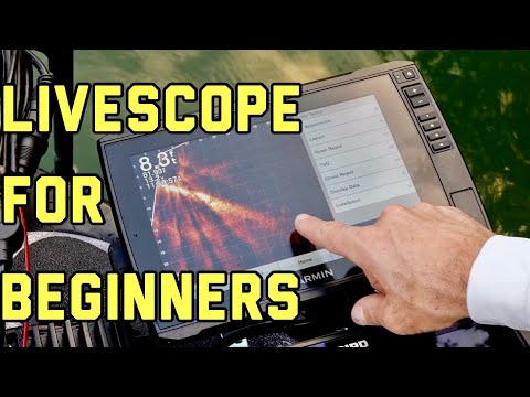 Видео: LIVESCOPE ДЛЯ НАЧИНАЮЩИХ