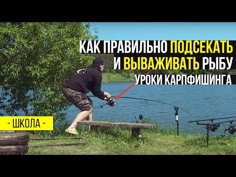 Видео: Как правильно ПОДСЕКАТЬ и ВЫВАЖИВАТЬ рыбу. Уроки КАРПФИШИНГА