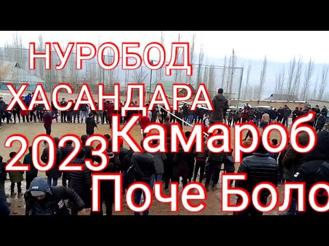 Видео: Хасандара Поче Боло