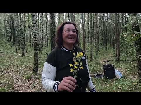 Видео: Люди леса. Лена все о жизни и планах на будущее. Мусорщик