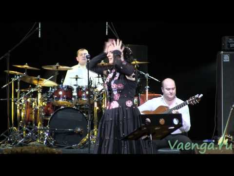 Видео: Елена Ваенга. Внутри. Девочка. (19.11.2012)