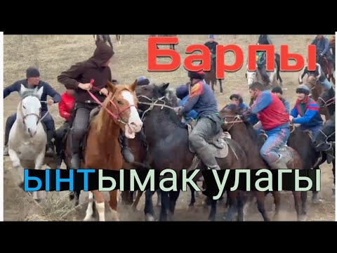 Видео: Барпы ынтымак улагы