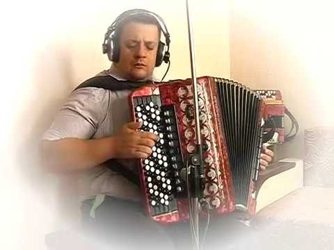 Видео: Листья желтые