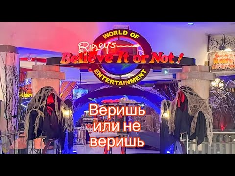 Видео: Веришь или не веришь? в Тайланде