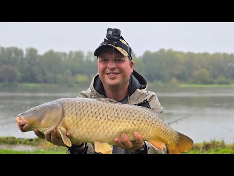 Видео: Рекорд сезона! Carp fishing!