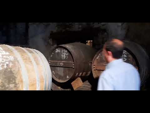 Видео: Коньяк Шато де Монтифо.Салон PROWEIN в Дюссельдорфе.Посещение Шато Монтифо.Бордо Андрей Войцеховский