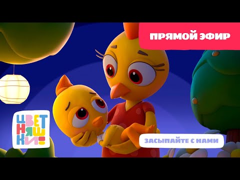 Видео: 🐥Цветняшки - Песенки для сна - Прямой эфир - Колыбельные для малышей💤