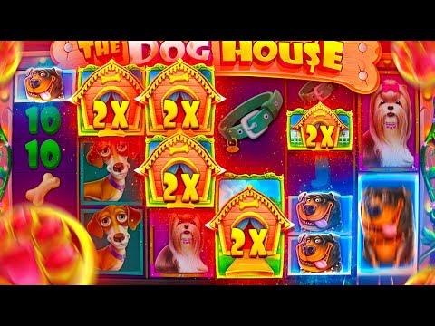 Видео: СЛОВИЛ ПОЛЯНУ МОПСОВ И ЗАНОС В THE DOG HOUSE MEGAWAYS! / ЗАНОСЫ НЕДЕЛИ